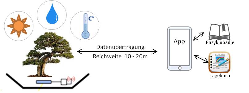 BonsaiProjekt2