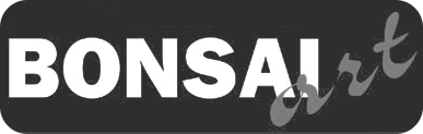bonsaiArt logo3