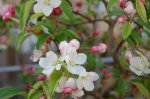 DSC_0513.JPG