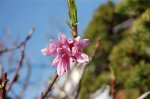 DSC_0531.JPG
