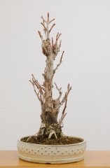 L2