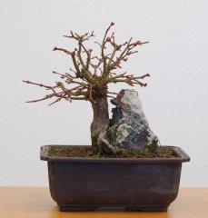 DSC_0066.JPG