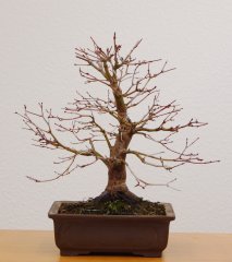 DSC_0077.JPG