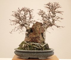 DSC_0116.JPG
