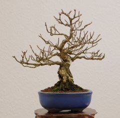 DSC_0055.JPG