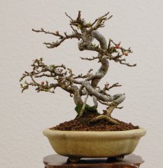 DSC_0057.JPG