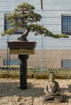 DSC_0375.JPG