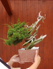 DSC_0212.jpg