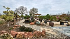 DSC02129.jpg