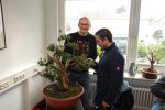 sturm_bonsai_ws_2013_02_1603.jpg