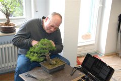sturm_bonsai_ws_2013_02_1604.jpg