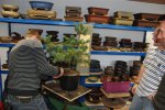 sturm_bonsai_ws_2013_02_1607.jpg