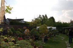 FT14BSGartenCo11.JPG