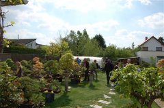 FT14BSGartenCo12.JPG