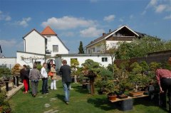 FT14BSGartenCo13.JPG