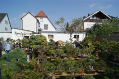 FT14BSGartenCo19.JPG