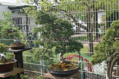 FT14BSGartenCo21.JPG