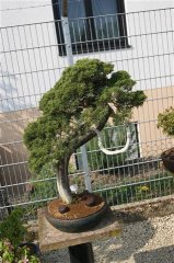 FT14BSGartenCo22.JPG