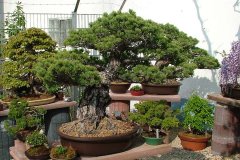 FT14BSGartenCo27.jpg