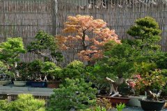 FT14BSGartenCo29.jpg