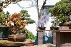 FT14BSGartenCo3.jpg