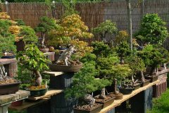 FT14BSGartenCo30.jpg