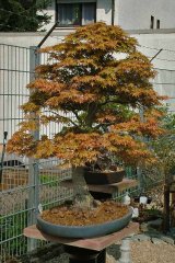 FT14BSGartenCo31.jpg