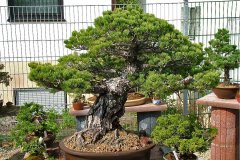 FT14BSGartenCo33.jpg