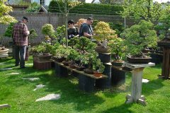 FT14BSGartenCo37.jpg
