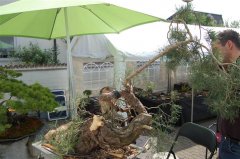 FT14BSGartenCo8.JPG