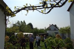 FT14BSGartenCo9.JPG