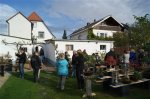 herbstcheck_131.JPG