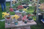herbstcheck_1318.JPG