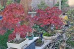 herbstcheck_1319.JPG