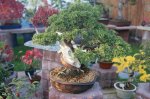 herbstcheck_1320.JPG