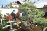 herbstcheck_1322.JPG