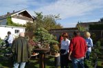 herbstcheck_1327.JPG