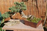 herbstcheck_1327_1.JPG