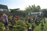 herbstcheck_1329.JPG
