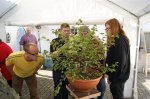 herbstcheck_1333.JPG