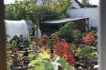 herbstcheck_1336.JPG