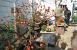 herbstcheck_1337.JPG