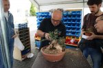 herbstcheck_1338.JPG