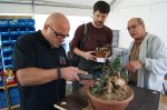 herbstcheck_1339.JPG