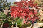 herbstcheck_134.JPG