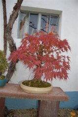 DSC_0292.JPG