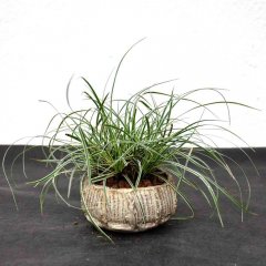 Kusa-Workshop_053_1000.jpg