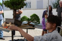 03DSC_7294.jpg