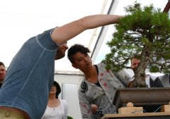 06DSC_7343.jpg