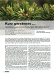 kurzgeratenes1.PNG